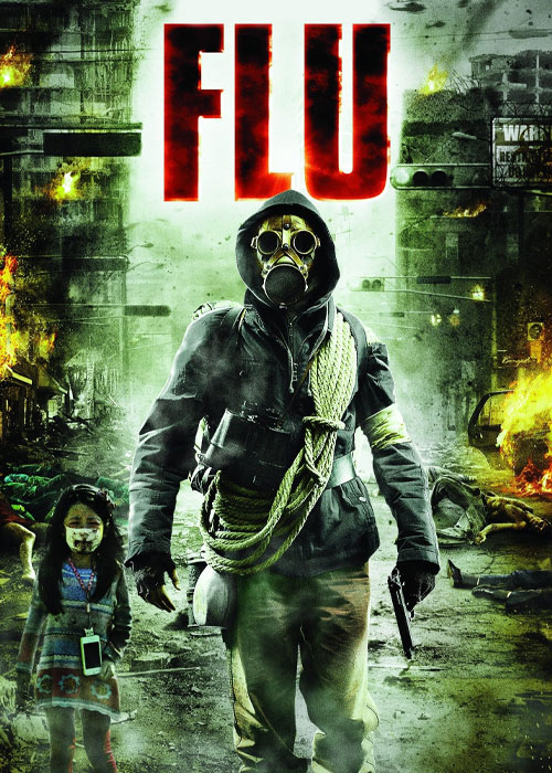 Flu 2013